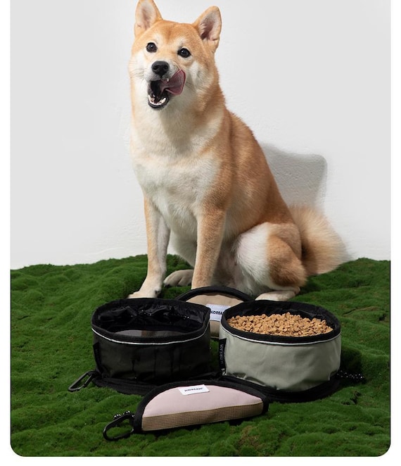 Collapsible Pet Water Bowl: Portable Dog Cat Travel Hydration