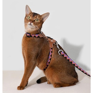 Leather Cat Harness with Leash: Adjustable, Escape Proof