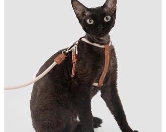 Escape Proof Cat Harness and Leash Set: Soft Nylon with Leather Trim