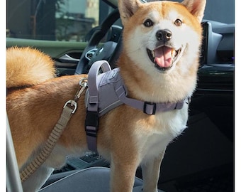 Verstellbare Hunde-Auto-Sicherheitsgurt-Leine: Freisprech-Sicherheitsgurt für Haustiere