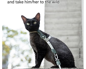 Adjustable Leather Cat Harness and Leash Set: Escape-Proof Design