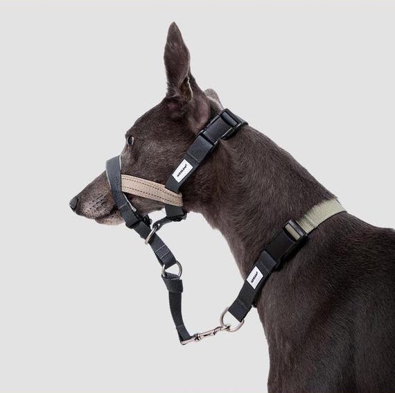 Dog Head Collar: Comfortable Training Muzzle, Stop Pulling, Padded