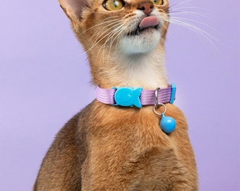Könnte beinhalten: Eine braune getigerte Katze mit grünen Augen, die ein violettes Katzenhalsband mit einem blauen Fisch-Anhänger und einer blauen Glocke trägt. Die Katze schaut nach oben und streckt die Zunge heraus.