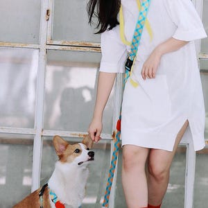 Könnte beinhalten: Eine Frau in einem weißen Shirt und einer blauen Mütze führt einen Corgi an der Leine, die ein blaues und gelbes Muster hat. Der Hund trägt ein blaues und orangefarbenes Geschirr.