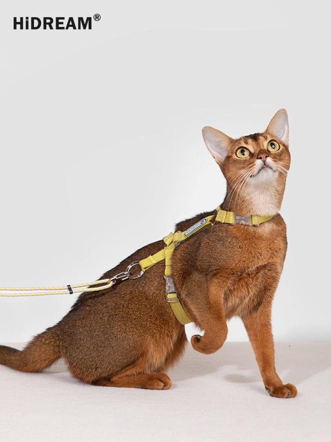 Picture of Adjustable Cat Harness & Leash Set: Escape Proof, Reflective, Nylon - Etsy