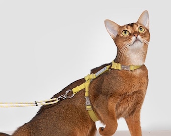 Adjustable Cat Harness & Leash Set: Escape Proof, Reflective, Nylon