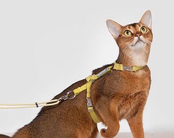 Collier Pour Chat Avec Clochette Amovible - Sécurité à Boucle Débrayable - Taille Réglable 20-30 Cm