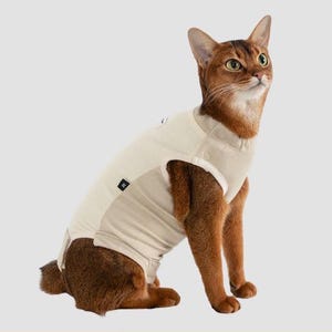 以下が含まれることがあります： ベージュ色の猫用リカバーウェア。猫は赤茶色で、緑色の目をしています。明るいベージュ色のぴったりとしたウェアを着ています。ウェアの側面には小さな黒い正方形のラベルが付いています。猫は座って上を見上げています。