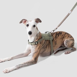 Reflective Dog Harness: Adjustable, Waterproof Nylon with Locator Bag