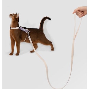 Adjustable Cat Harness with Leash: Waterproof Nylon, Neck Protection