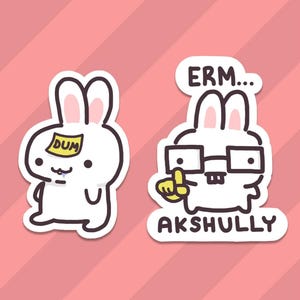 Lindo juego de pegatinas a juego de conejito tonto y nerd ~ Lindo meme divertido pegatinas de conejo de vinilo brillante impermeables para botellas de agua, computadoras portátiles, regalos, etc.