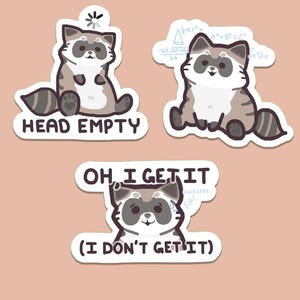 Cute Dumb and Smart Raccoon Sticker Set 3 ct. ~ Funny Cute Glossy Vinyl Waterproof Trash Panda Stickers For Water Bottles Gifts Laptops etc.