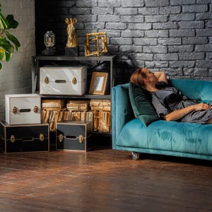 Adult Toy storage - Sex Toy Chest