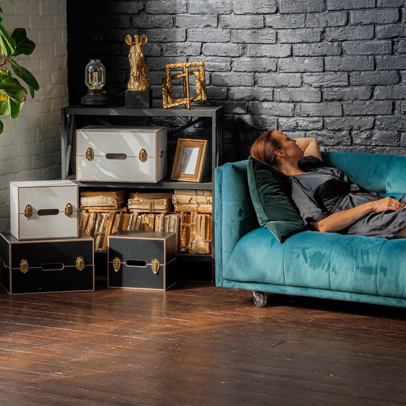 Adult Toy storage - Sex Toy Chest