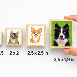 May include: A series of square pet portraits featuring a yellow parakeet, a tabby cat, a corgi, and a black and white Border Collie. The Border Collie portrait is held by a hand. Sizes range from 1.5x1.5 inches to 3.5x1.9 inches.