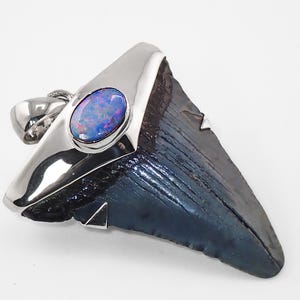 Megalodon Shark Tooth Pendant: Sterling Silver, Australian Opal Accent