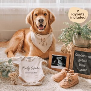 May include: A golden retriever wearing a "Big Sister" bandana is surrounded by baby announcement items. A onesie with "Baby Johnson December 2025" is next to baby booties, a framed sonogram, and a letter board that reads "Golden Pup gets a tiny human!"
