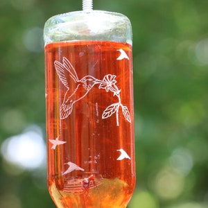 NOUVEAU Gravure gravée Colibris Bouteille de vin recyclée de 187 ML Mangeoire pour colibris ou oiseaux