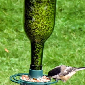 May include: A green glass bottle bird feeder filled with small seeds, featuring a dark green plastic base with a circular perch. A small black, white, and gray chickadee is perched on the edge of the feeder, eating seeds from the tray.
