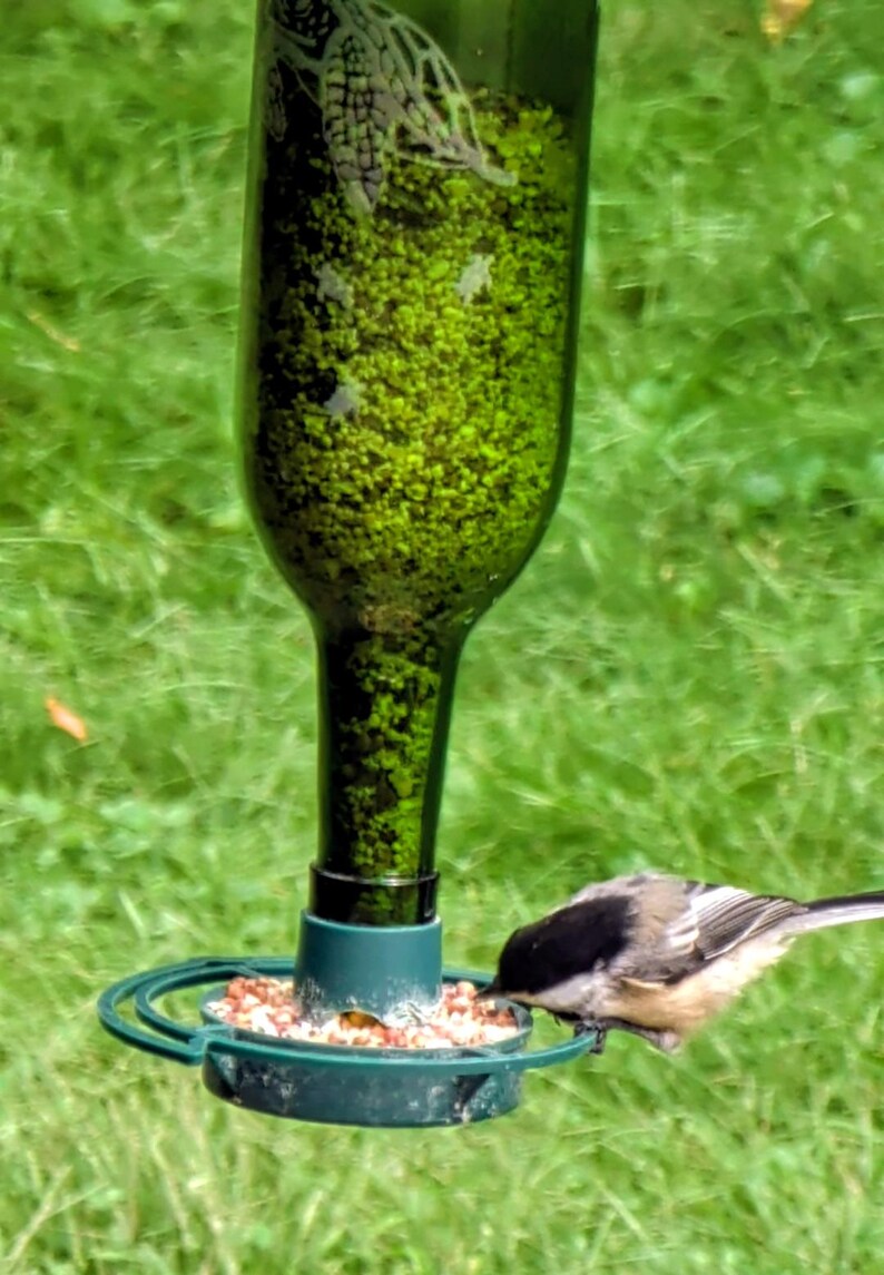 May include: A green glass bottle bird feeder filled with small seeds, featuring a dark green plastic base with a circular perch. A small black, white, and gray chickadee is perched on the edge of the feeder, eating seeds from the tray.