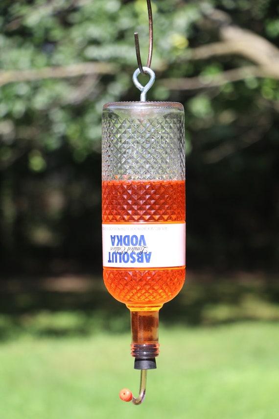 New Feeder Absolute Special Edition Bottle Hummingbird Feeder Etsy
