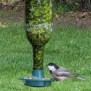 May include: A green glass bottle bird feeder with a dark green plastic base and tray. The bottle features etched white silhouettes of fairies and butterflies. A small bird with a black head, white cheeks, and grey wings perches on the tray.