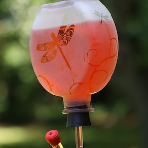 Round frosted Dragonfly Garden bottle Hummingbird feeder