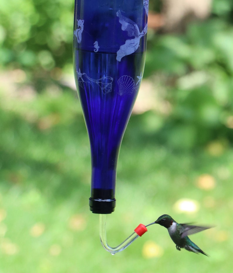 ETCHED Squirrel Welcome to the Nut House Recycled Wine bottle Hummingbird or Bird feeder