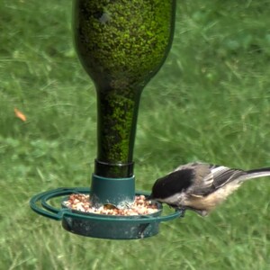 Op de afbeelding: Een vogelvoederbak van een groene glazen fles met een donkergroene kunststof basis en een ronde schaal gevuld met gemengde zaden. Een kleine zwart-wit-grijze mees zit op de rand van de schaal en eet zaden uit de voederopening van de bak.