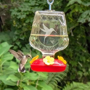 Op de afbeelding: Een kolibrie-voederbak van helder glas met een ruitpatroon en een gegraveerd kolibrie-ontwerp. De voederbak heeft een felrode basis met drie gele, bloemvormige voederopeningen en een metalen ophanghaak aan de bovenkant van de glazen fles.