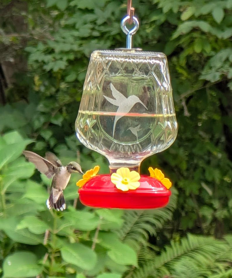 Op de afbeelding: Een kolibrie-voederbak van helder glas met een ruitpatroon en een gegraveerd kolibrie-ontwerp. De voederbak heeft een felrode basis met drie gele, bloemvormige voederopeningen en een metalen ophanghaak aan de bovenkant van de glazen fles.