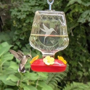 May include: A clear glass hummingbird feeder with a diamond-cut pattern and an etched hummingbird design. The feeder has a bright red base with three yellow flower-shaped feeding ports and is suspended by a metal hook from a silver eye bolt.