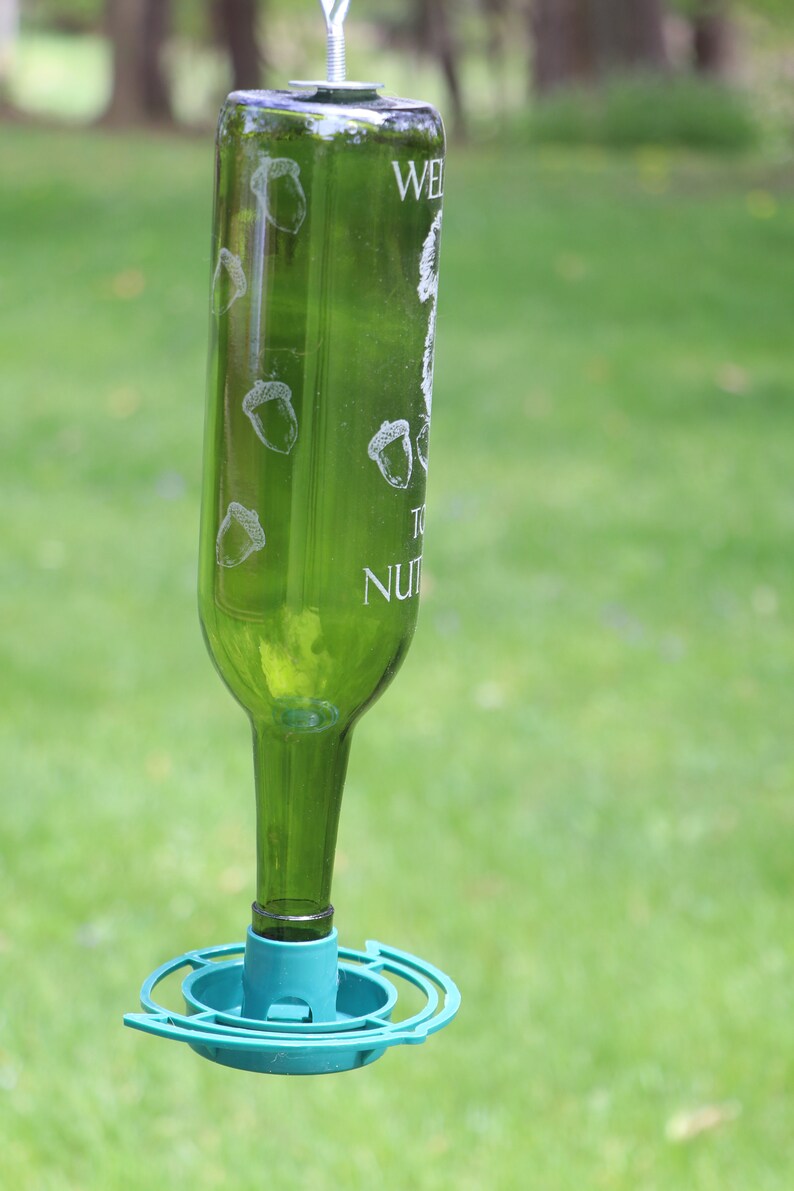 ETCHED Squirrel Welcome to the Nut House Recycled Wine bottle Hummingbird or Bird feeder