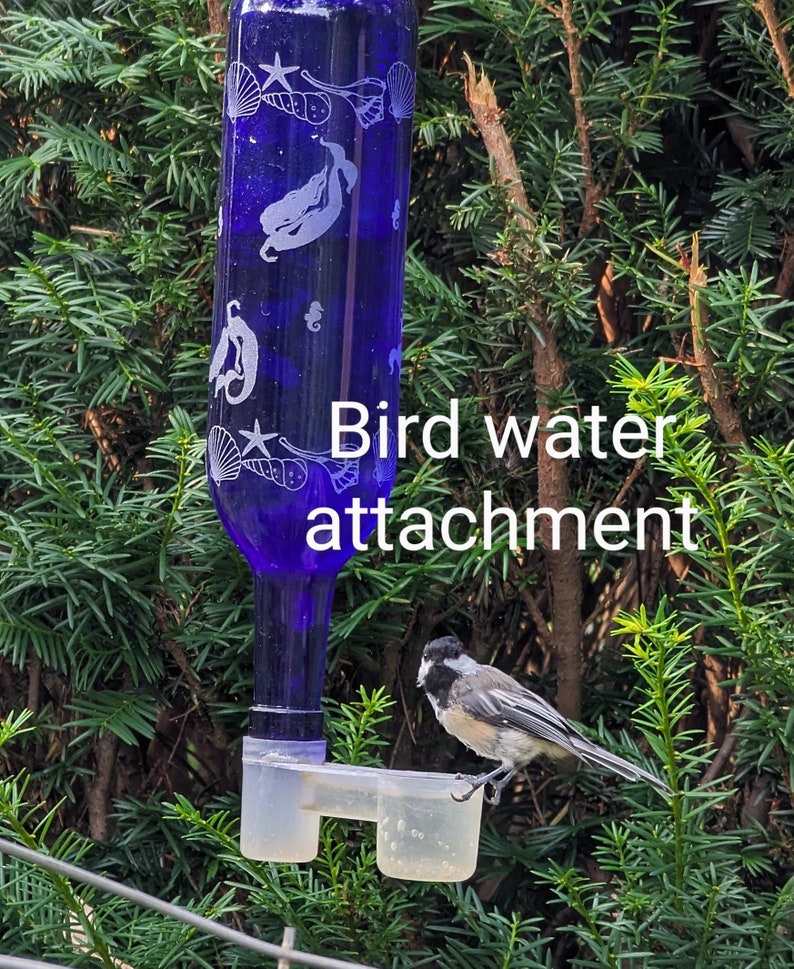 Op de afbeelding: Een kobaltblauwe glazen fles met witte gegraveerde zeemeermin- en schelpmotieven, voorzien van een doorzichtig plastic vogeldrinkbakje aan de onderkant. Een kleine vogel met zwarte, witte en grijze veren zit op de rand van het bakje.