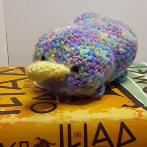 Platypus Crochet Stuffed Animal