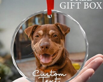 Custom Dog Portrait Glass Ornament, Personalized Pets Owner Ornament, Custom Cat Ornament, Gifts for Pet Lover, Dog Memorial Gift, Pet Owner