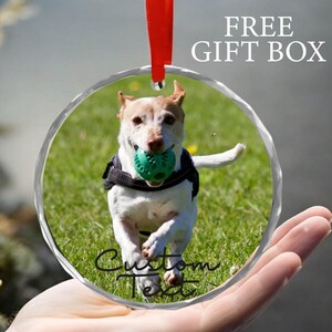 Custom Pet Ornament, Personalized Dog Christmas Ornament, Pet Ornament Using Photo, Cat Christmas Photo Ornament, Pet Portrait Name Gift