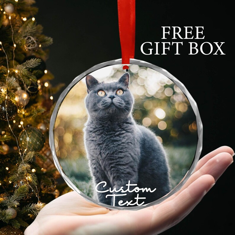 May include: A round glass ornament with a photo of a gray cat. The ornament has a silver border and a red ribbon. The text "Custom Text" is printed on the ornament.