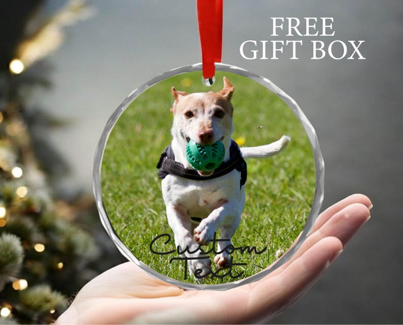 May include: Round glass ornament with a photo of a dog playing fetch with a green ball. The ornament has a red ribbon for hanging and the text "Custom Text" is written on the bottom.