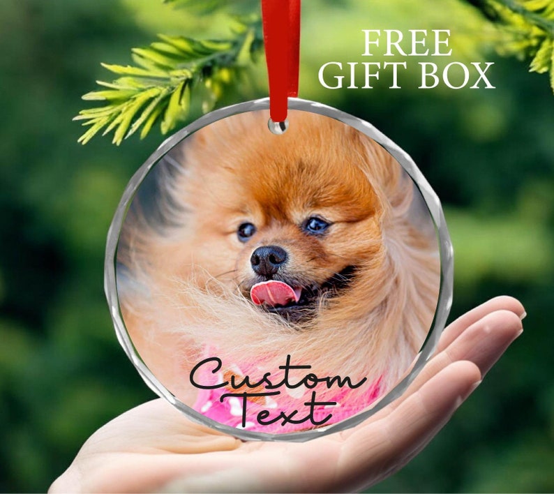 May include: Round glass ornament with a photo of a small, fluffy, light brown dog with a pink tongue sticking out. The ornament has a silver rim and a red ribbon attached to the top. The text "Custom Text" is printed on the ornament.