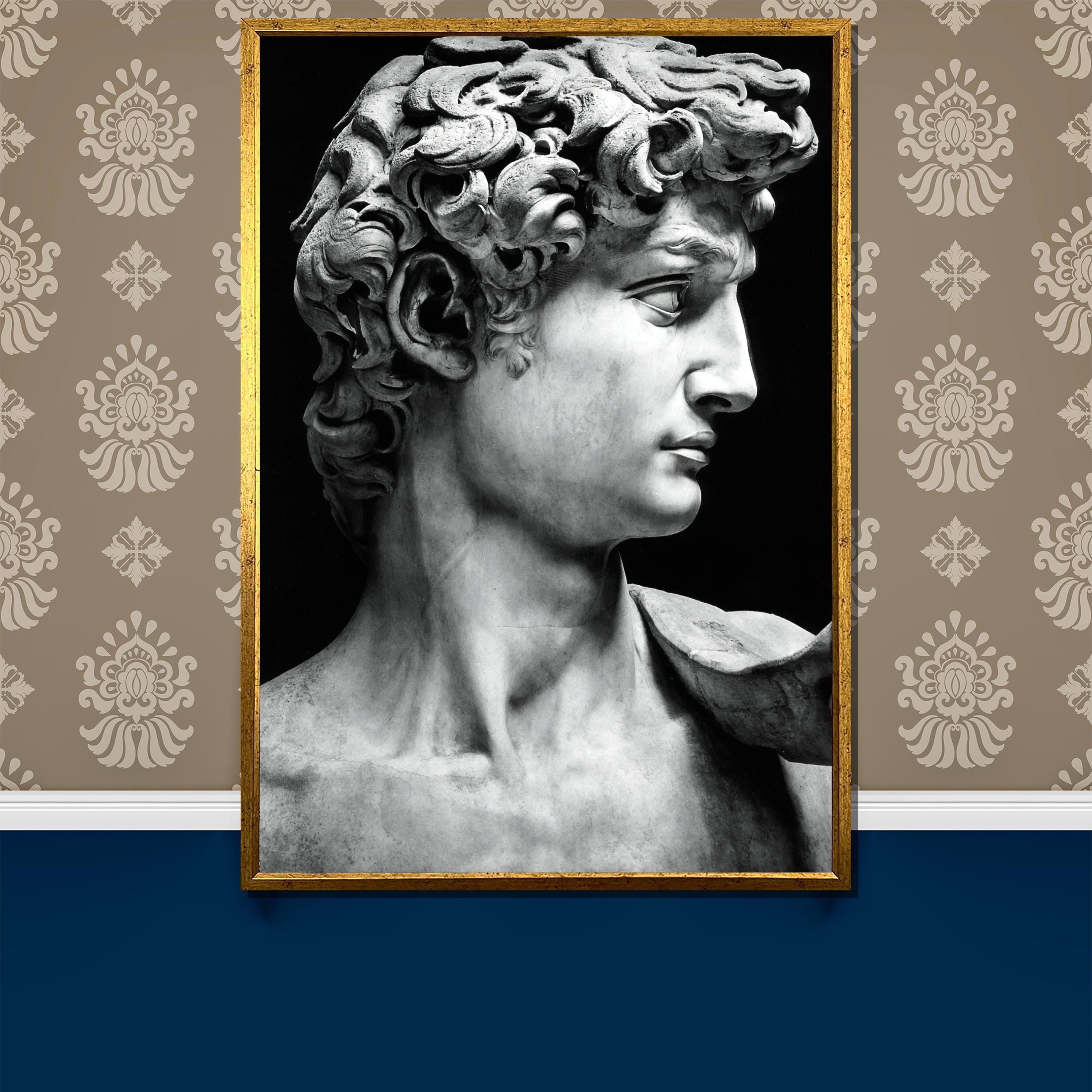 Michelangelo's David Canvas Painting - Classic Renaissance Wall Art Gift, Timeless Black and White Sculpture Decor for Art Lovers