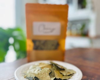 Espinheira Santa (Maytenus ilicifolia)