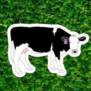 Cow Sticker