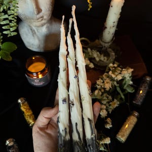 Juego de velas rituales de cera de soja / Bienestar mágico, conexión a tierra, hechizo de protección / Energía del bosque, velas para decoración de altar imagen 1