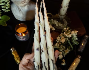 Ritual Soy Wax Candle Set: Rosemary, Cedar, Hepatica - Witchy Well-being, Grounding, Protection Spell