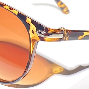 Modern Horn Rim Full Frame Tortoise Sunglasses with Fading Brown Lens & Silver Bar Embellishments that extend from front to temple arm sides