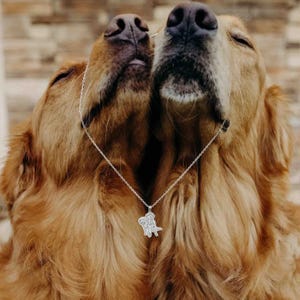 Puede incluir: Un collar de plata con un colgante de perro. El colgante presenta un dise&ntilde;o detallado de dos perros. El collar se muestra sobre un fondo de dos perros golden retriever, con sus narices toc&aacute;ndose.