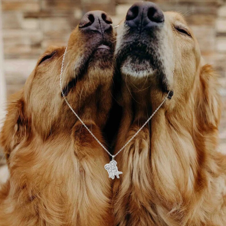 Puede incluir: Un collar de plata con un colgante de perro. El colgante presenta un dise&ntilde;o detallado de dos perros. El collar se muestra sobre un fondo de dos perros golden retriever, con sus narices toc&aacute;ndose.