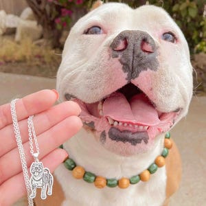 Puede incluir: Un collar con colgante de plata con un dise&ntilde;o de pug. El collar se sostiene frente a un perro blanco y marr&oacute;n sonriente que lleva un collar de cuentas de madera con cuentas verdes y marrones.