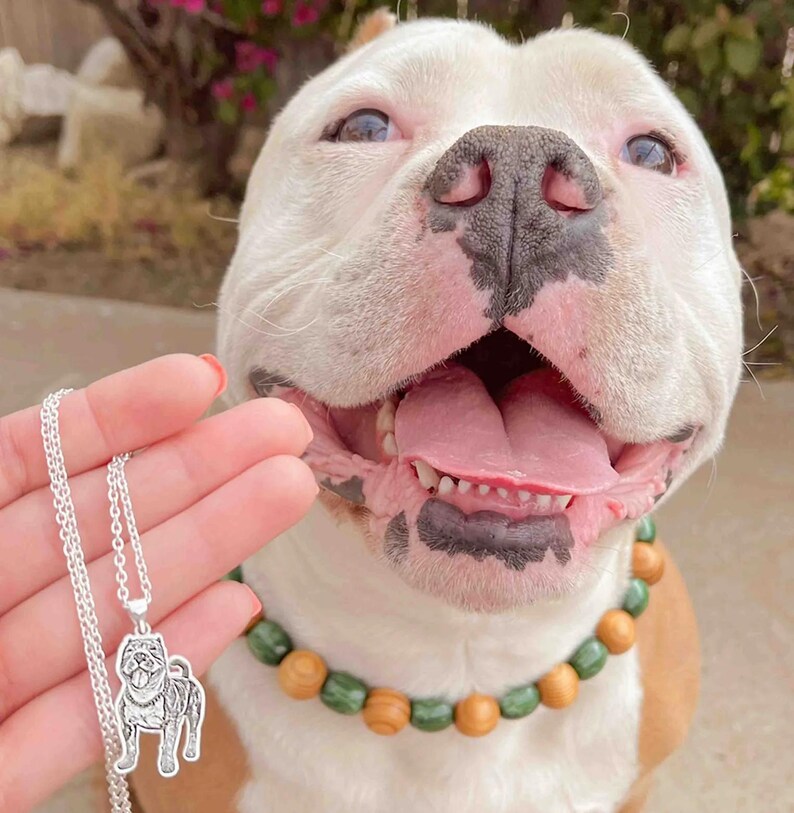 Puede incluir: Un collar con colgante de plata con un dise&ntilde;o de pug. El collar se sostiene frente a un perro blanco y marr&oacute;n sonriente que lleva un collar de cuentas de madera con cuentas verdes y marrones.